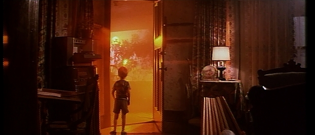 未知との遭遇_誘拐