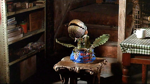 リトルショップ・オブ・ホラーズ