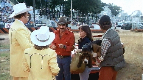 トランザム７０００