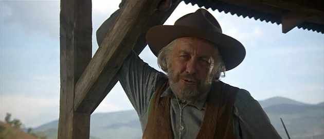 明日に向って撃て!:ストローザー・マーティン