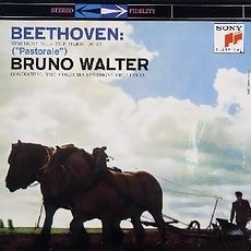 �١��ȡ����������ʡ��ı�� ��륿��