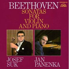 �١��ȡ�������:����������󡦥��ʥ����� ���������ѥͥ�